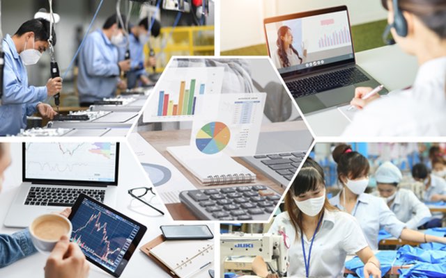 Thị trường việc làm Việt Nam năm 2025-2026